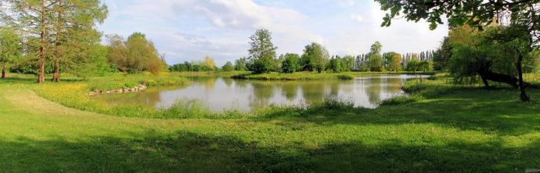 Villa Fiori di Loto - Location immersa nel verde