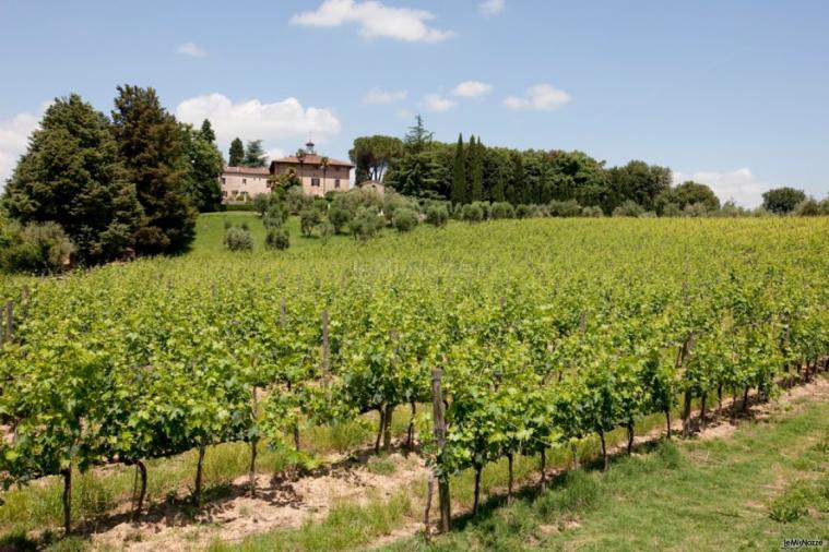 Castel di Pugna - Veduta panoramica della vigna