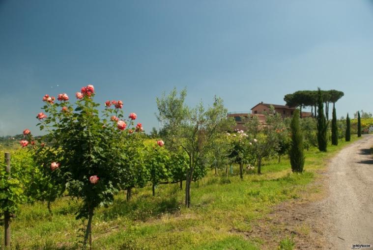 Viale di ingresso alla cantina vinicola