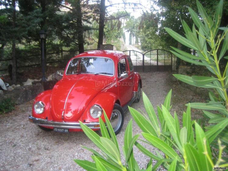 Maggiolino 1979 Wedding - Noleggio auto per il matrimonio a Viterbo