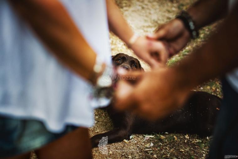 Pentastudio Foto&Film - Il racconto fotografico del matrimonio