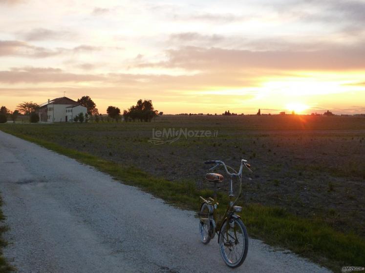 Viale d'ingresso a Tenuta La Comuna