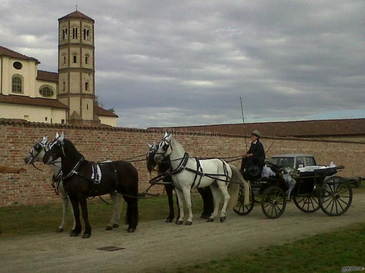 Azienda Marocco - Noleggio di carrozze per matrimoni a Strambino