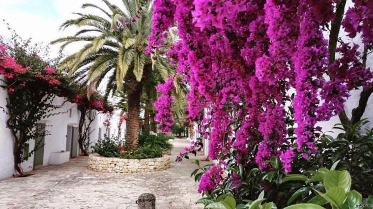 Masseria Montalbano - Il giardino fiorito