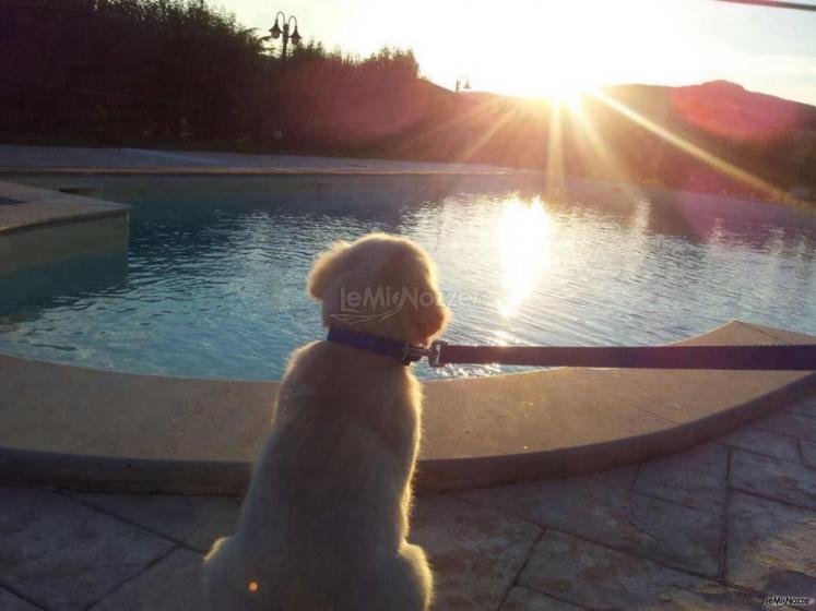 Il Moro Country House - Area della piscina al tramonto