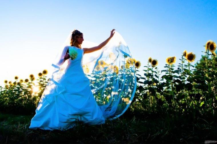 Foto della sposa tra i girasoli