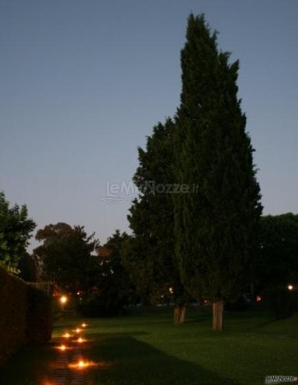 Cipressi e pini secolari del parco della villa