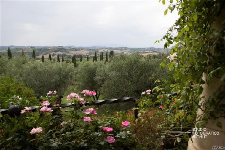 Vista dalla location Antica Fattoria Paterno