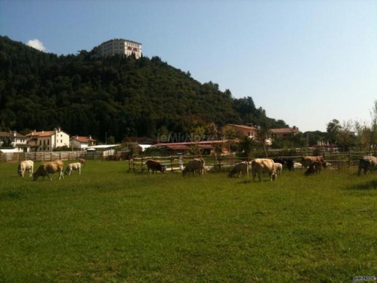 Agriturismo per il matrimonio a Treviso