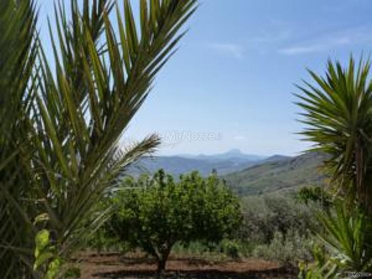 La campagna che circonda Villa della Mimosa