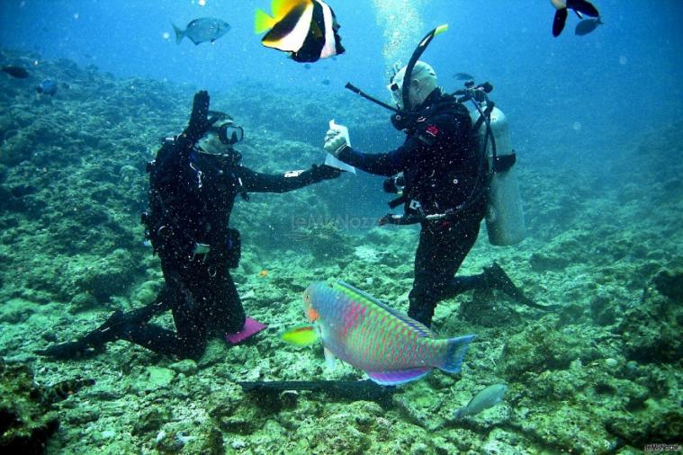 Serena Donato - Consulente Viaggi by Vivi Vacanze - Gli sposi fanno diving sulla Barriera Corallina