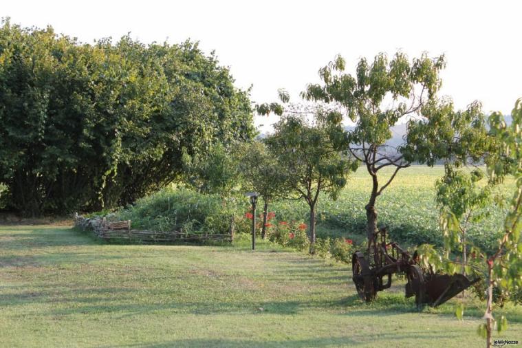 Giardino con alberi secolari