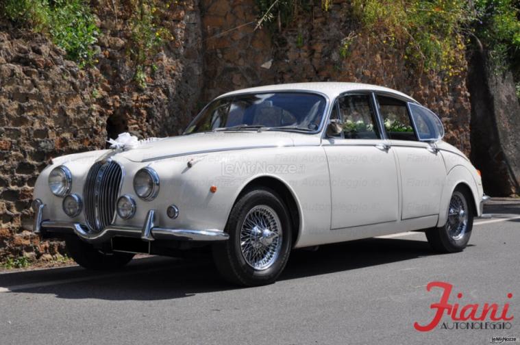 Jaguar MK II - Fiani Autonoleggio