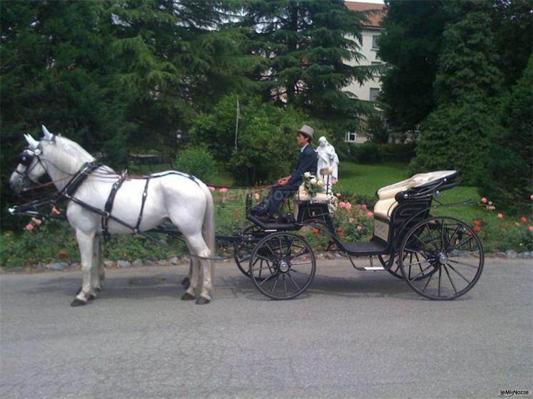 Azienda Marocco - Noleggio di carrozza e cavalli per matrimoni